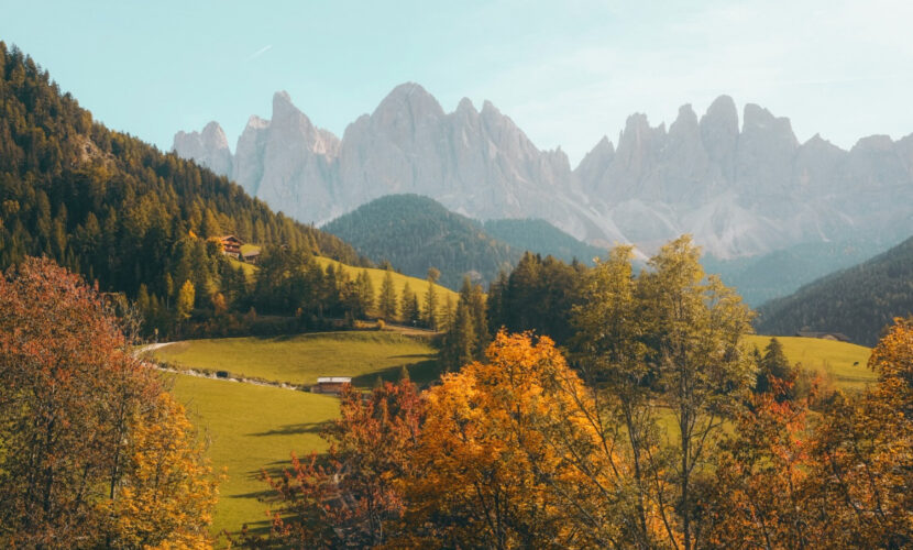 natures-01.jpg